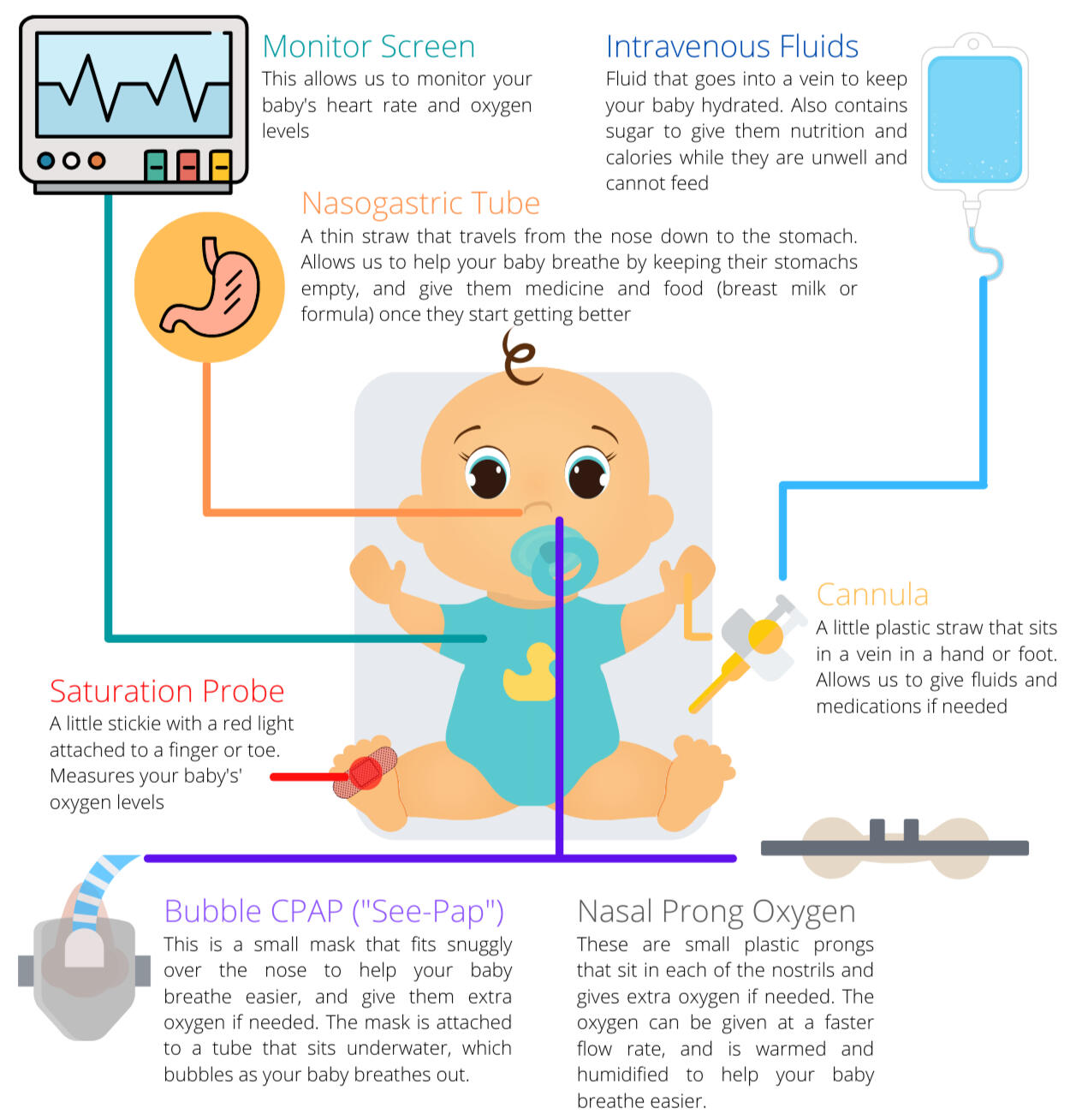 ** Click image to enlarge **